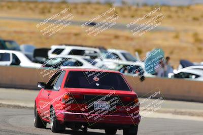 media/Feb-22-2025-Team Topak Racing (Sat) [[cb57a51a40]]/86 Party Brigade/Turns 13 and 14/